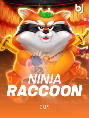 Ninja Raccoon